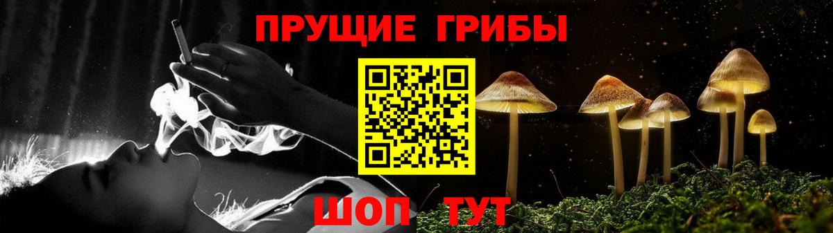 Псилоцибиновые грибы Psilocybine cubensis Усинск